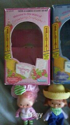 1980s Strawberry Shortcakes Lot some Dolls Boxes Pets Vintage Kenner Hong Kong