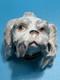 19th C. Samson Porcelain France Gilt Bolognese Hound Snuff Box