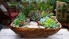 Antique Dough Bowl Turned Succulent Planter