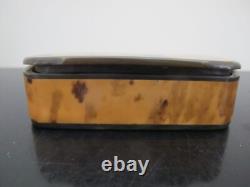 Antique GEORGIAN Faux Tortoiseshell Small Hinged Lid Snuff Trinket Casket BOX