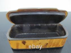 Antique GEORGIAN Faux Tortoiseshell Small Hinged Lid Snuff Trinket Casket BOX