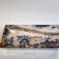 Dendritic Agate Jewelry Box from Russia Hand made Beautiful Household Gift