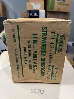 Factory Sealed Case of 6 Boxes Vintage Kenner Strawberry Shortcake Lem Ada AFA