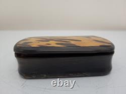 GEORGIAN Antique TORTOISESHELL Veneer & Horn Hinged Lid Snuff Pill Trinket Box