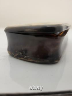 GEORGIAN Antique TORTOISESHELL Veneer & Horn Hinged Lid Snuff Pill Trinket Box