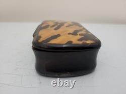GEORGIAN Antique TORTOISESHELL Veneer & Horn Hinged Lid Snuff Pill Trinket Box