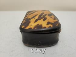 GEORGIAN Antique TORTOISESHELL Veneer & Horn Hinged Lid Snuff Pill Trinket Box