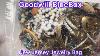 Goodwill Bluebox 5 Pound Mystery Jewelry Box Nj Bag 2 Vintage Galore Jewelry Unboxing Goodwill