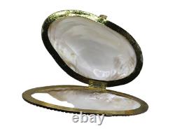 Large Vintage Mother of Pearl Trinket & Jewelry Box Elegant Shell Bag Gold frame