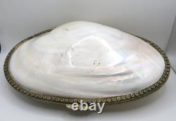 Large Vintage Mother of Pearl Trinket & Jewelry Box Elegant Shell Bag Gold frame