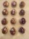 Lot Of 12- Vintage Shell Trinket Pill Box Ring Box Container Holder (violet)
