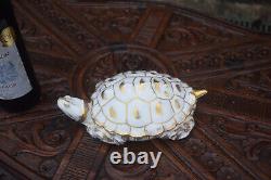 Rare Vintage french Pillivuyt marked porcelain bonbonniere box turtle