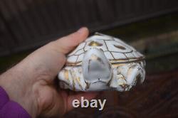 Rare Vintage french Pillivuyt marked porcelain bonbonniere box turtle