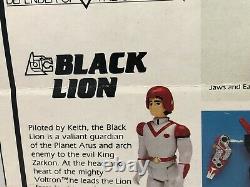 Vintage 1984 Panosh Place Voltron Defender Of The Universe Black Lion Misb