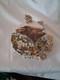 Vintage Bev Dolittle Bugged Bear Trinket Box Coa 2003