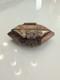 Vintage Diamond-shaped Carved Horn Trinket Box