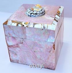 Vintage Gumps Pen shell Box Tiger Turbo Shell San Franciso Estate Art Deco Pink
