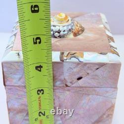 Vintage Gumps Pen shell Box Tiger Turbo Shell San Franciso Estate Art Deco Pink