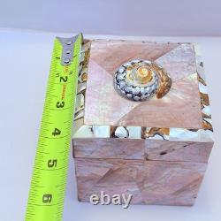 Vintage Gumps Pen shell Box Tiger Turbo Shell San Franciso Estate Art Deco Pink