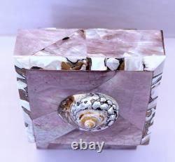 Vintage Gumps Pen shell Box Tiger Turbo Shell San Franciso Estate Art Deco Pink