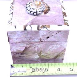 Vintage Gumps Pen shell Box Tiger Turbo Shell San Franciso Estate Art Deco Pink