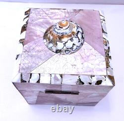 Vintage Gumps Pen shell Box Tiger Turbo Shell San Franciso Estate Art Deco Pink