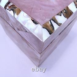 Vintage Gumps Pen shell Box Tiger Turbo Shell San Franciso Estate Art Deco Pink