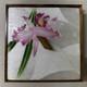 Vintage Japanese Cloisonné Jewelry Box Cattleya Orchid Design