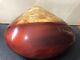 Vintage Large Japanese Wakasa Lacquer Clam Shell Trinket Box, 8 1/2 W X 8 Deep