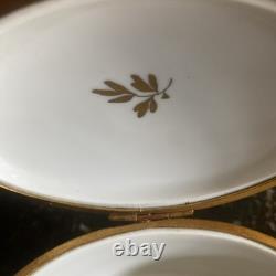 Vintage Limoges? France Trinket Box hand painted