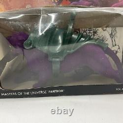 Vintage Panthor Masters of the Universe He-Man MOTU 1981 Mattel In Box