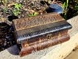 Vintage Real Snakeskin Box Snake Taxidermy Jewelry Keepsake Black Velvet Oddity