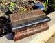 Vintage Real Snakeskin Box Snake Taxidermy Jewelry Keepsake Black Velvet Oddity