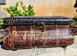 Vintage Real Snakeskin Box Snake Taxidermy Jewelry Keepsake Black Velvet Oddity
