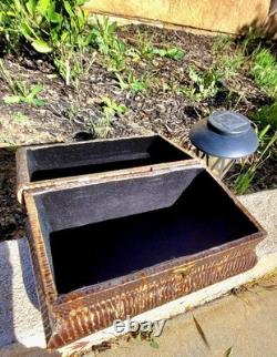 Vintage Real Snakeskin Box Snake Taxidermy Jewelry Keepsake Black Velvet Oddity