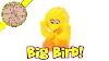 Vintage Sesame Street Big Bird Plastic Musical Peek A Boo Baby Crib Toy By Tyco