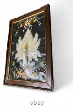 Vintage Shell Art Shadow Box Peacock Bird Design