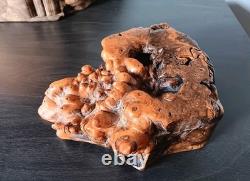 Vintage Signed Don Rupard 14 Piece Burl Wood Puzzle Box